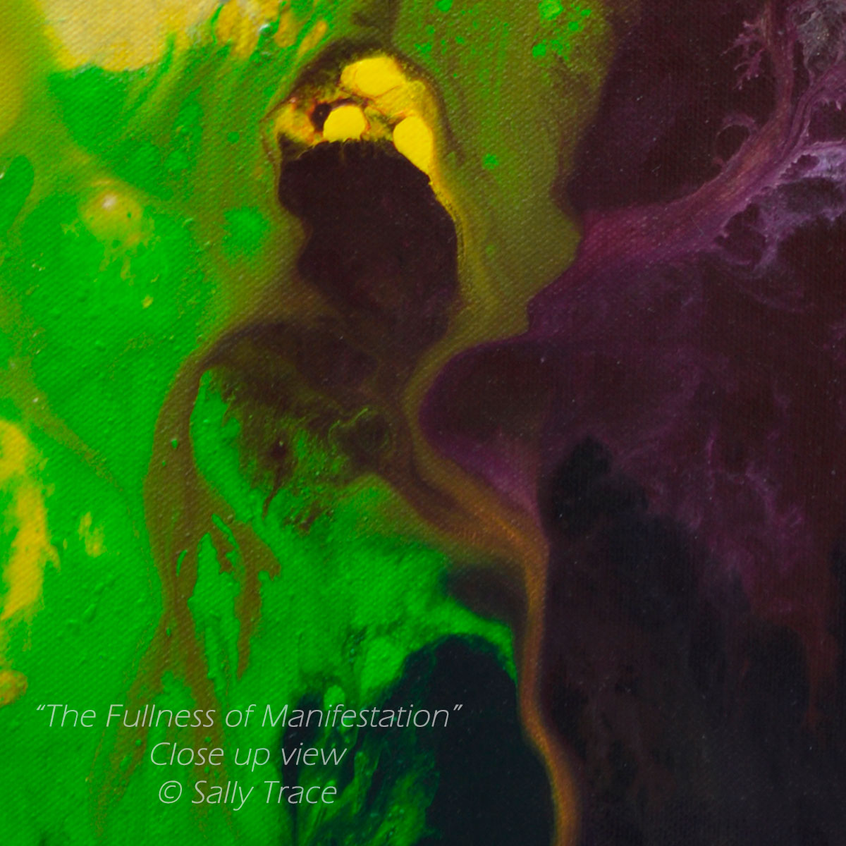 "The Fullness of Manifestations" fine art prints of an original abstract fluid painting by Sally Trace, a contemporary artwork for the home of office, decotr for your living room, dining room, colorful abstract art paintings, abstract art for sale by the artist, close up detail