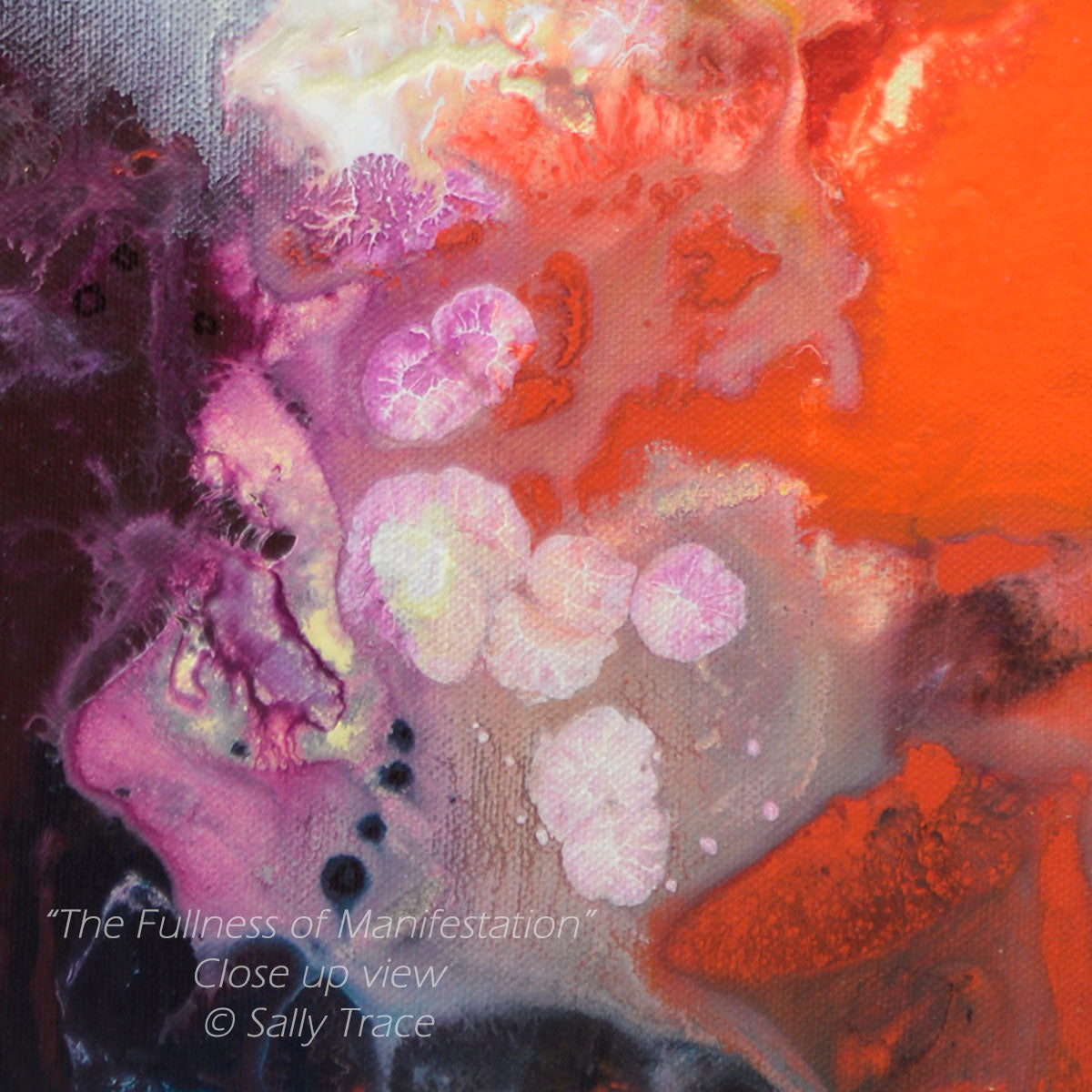 "The Fullness of Manifestations" fine art prints of an original abstract fluid painting by Sally Trace, a contemporary artwork for the home of office, decotr for your living room, dining room, colorful abstract art paintings, abstract art for sale by the artist, close up detail