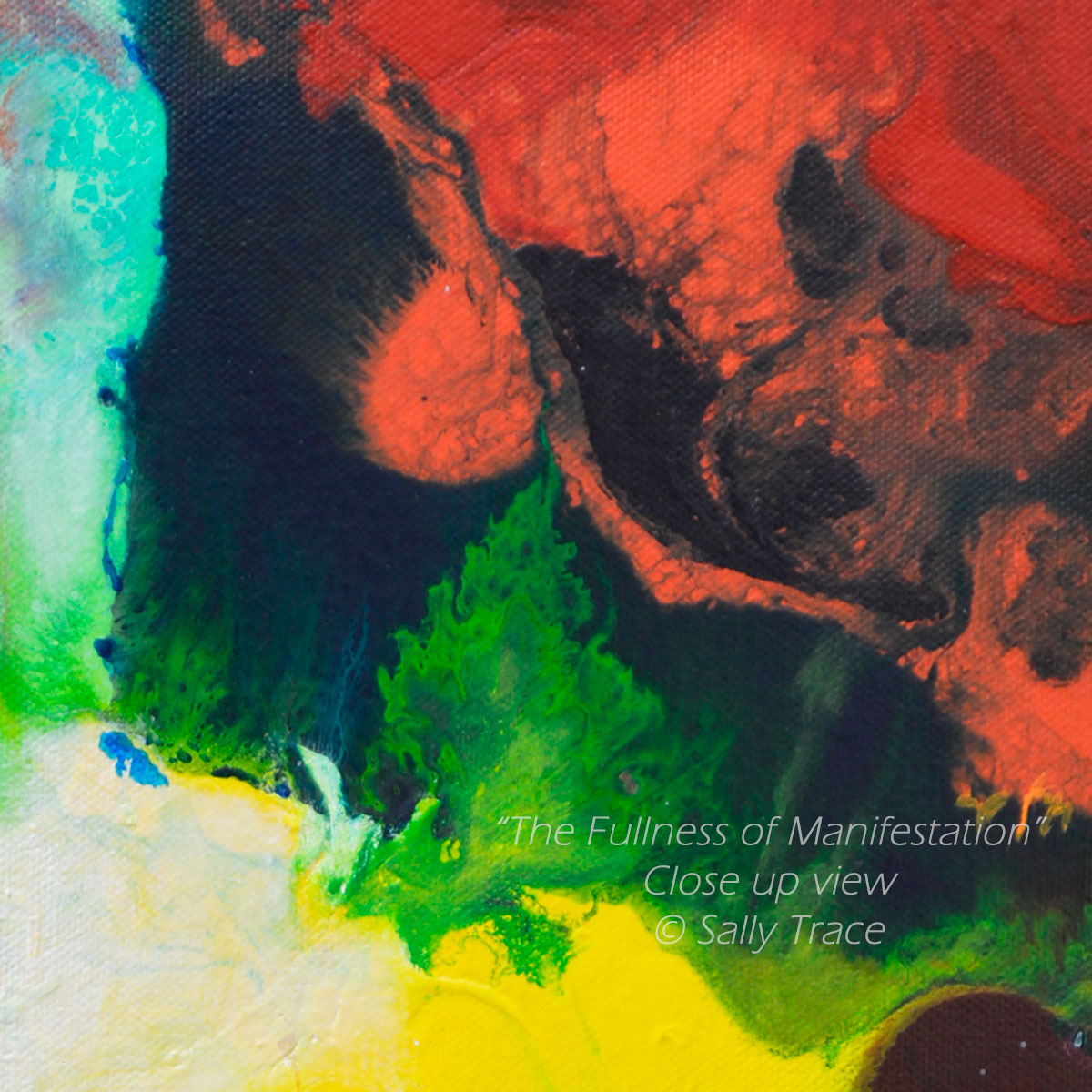 "The Fullness of Manifestations" fine art prints of an original abstract fluid painting by Sally Trace, a contemporary artwork for the home of office, decotr for your living room, dining room, colorful abstract art paintings, abstract art for sale by the artist, close up detail