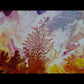 In the Flow, Original Paintings, Sold
