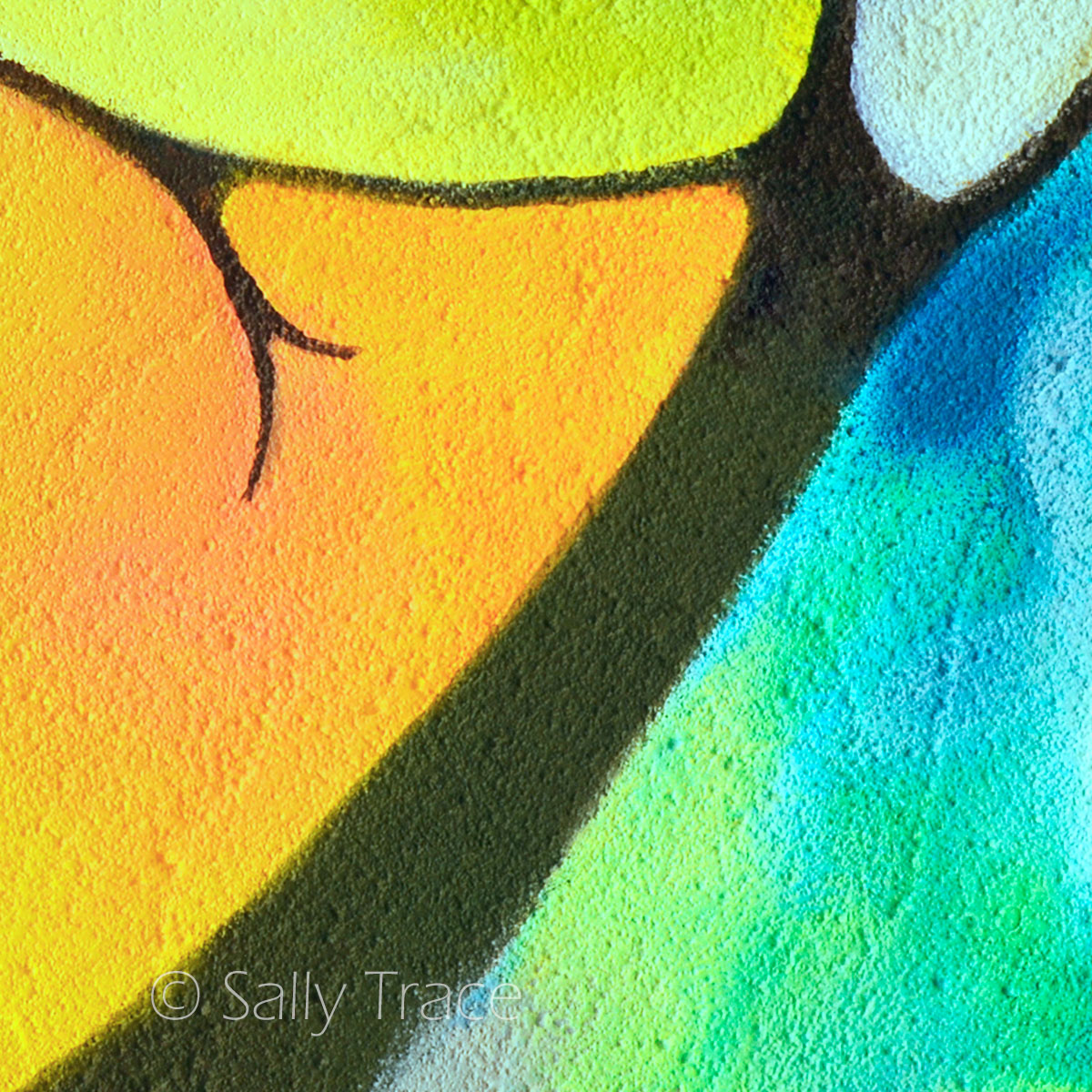 Geometric art prints from the original painting by Sally Trace, art prints on canvas, buy art directly from the artist, close-up view